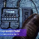 817ELf72kpL._SL1440.webp