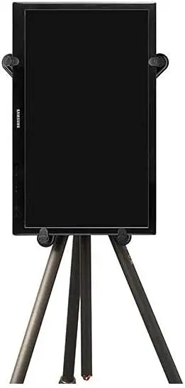 31bqheLYSVS._AC_SL1200.webp