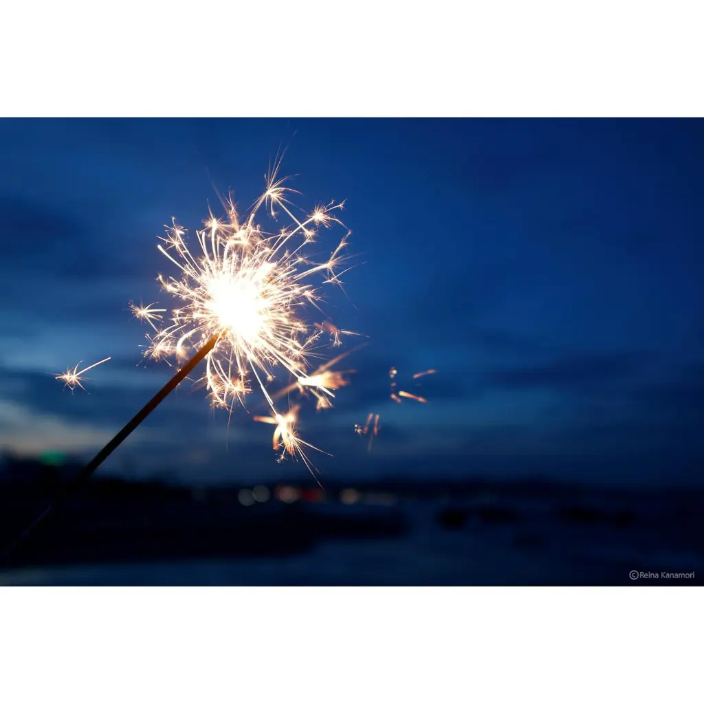 71oajgGlBUL._SL1500.webp