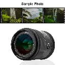 71ZDMj1O2CL._SL1500.webp