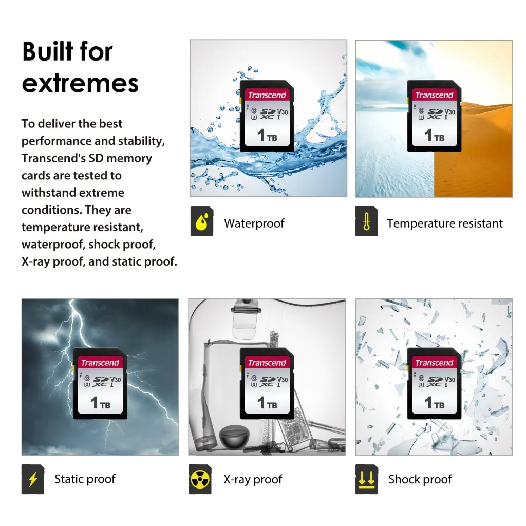 71SCtgRMWtL._SL1500_ (1).webp