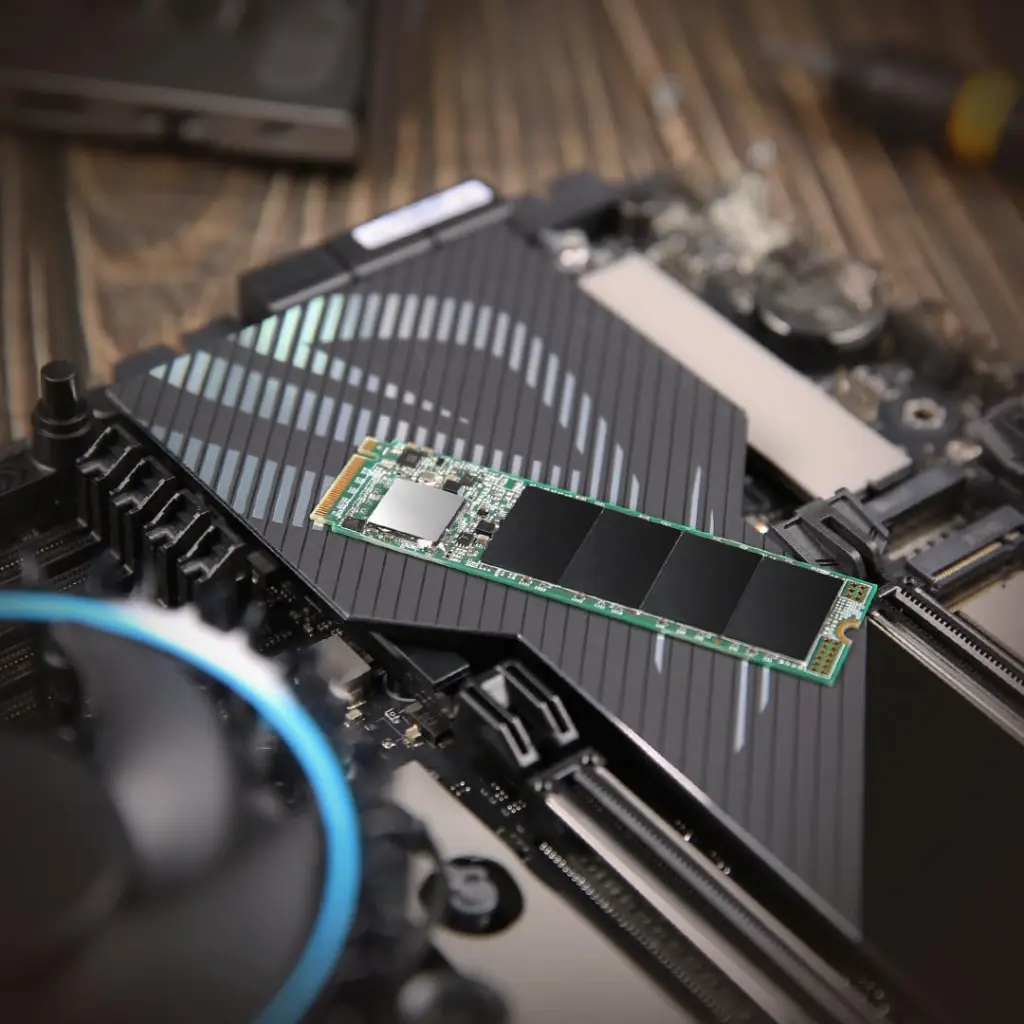 616oJR2vjhL._SL1080_ (1).webp