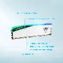 81-tJ793w0L._AC_SL1500_.webp