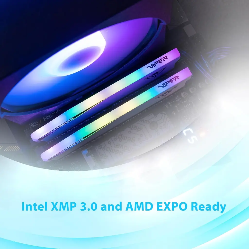 81uKvILrAzL._SL1500_ (1).webp