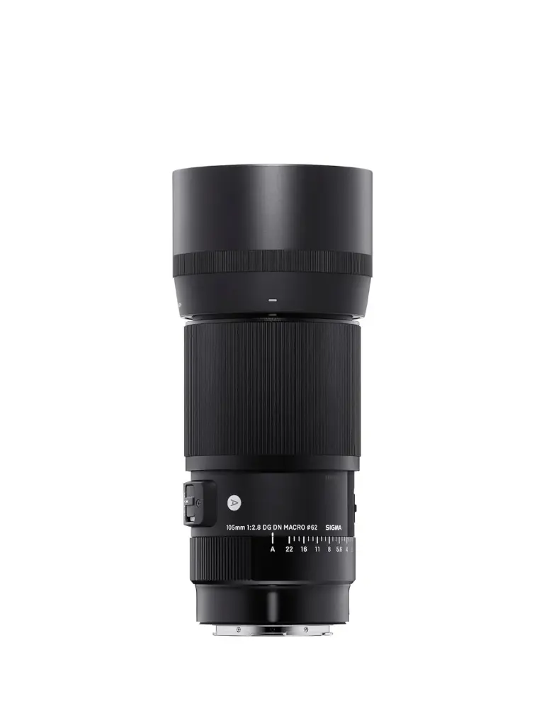 Sigma 105mm F2.8 DG DN Macro Art (Sony E-Mount) Lens, Black (260965)