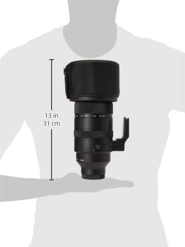 Sigma 150-600mm f/5-6.3 DG DN OS Sports Lens for Sony E Mount Cameras (747965) (Black)