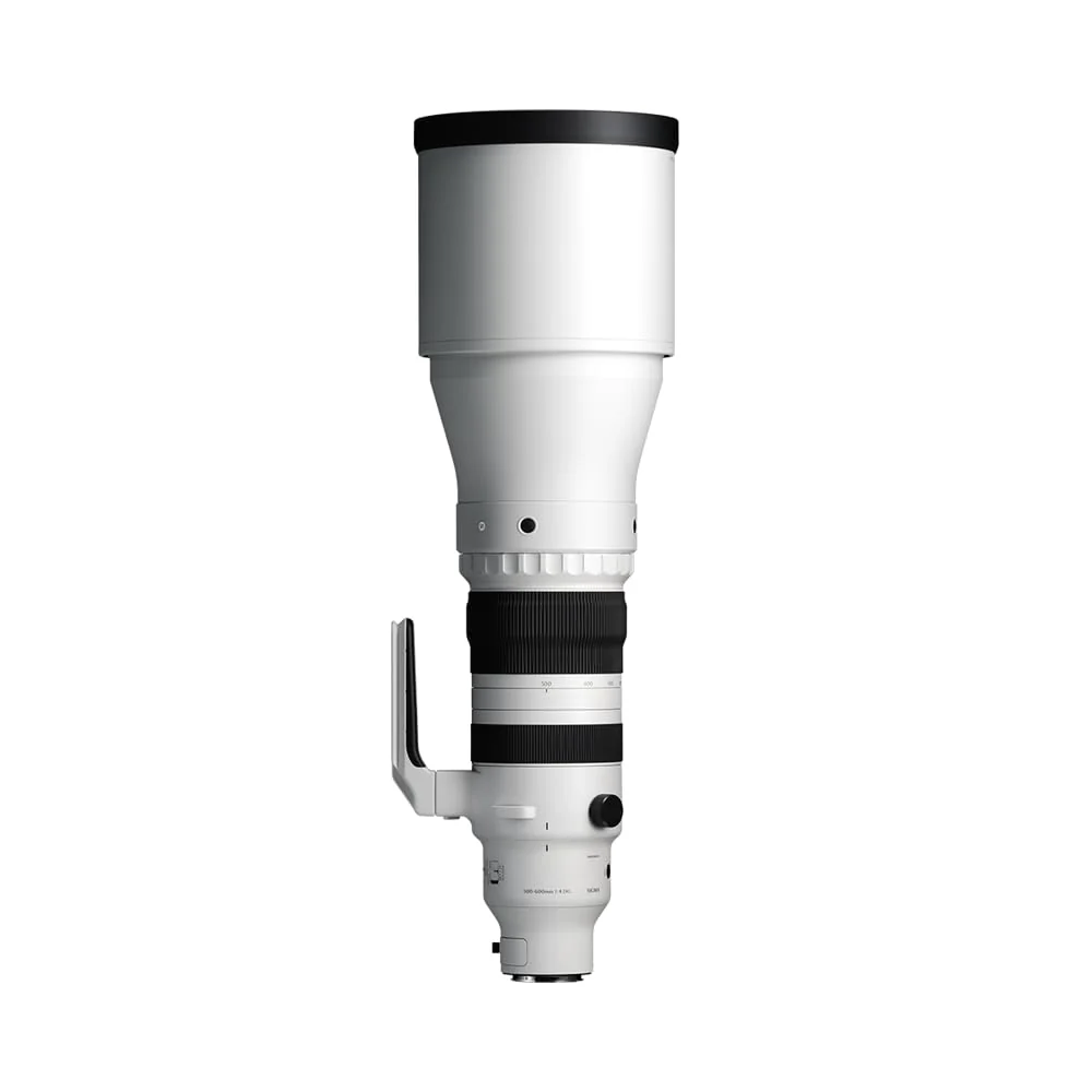 Sigma 300-600mm f/4 DG OS Sports Lens for L-Mount Mirror-Less Cameras