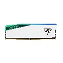 Patriot EP_DDR5 VIPER ELITE 5 RGB UDIMM 24GBx1 PVER524G56C38W